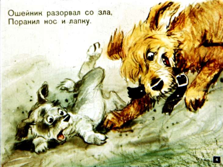 Кадр 4 диафильма «Трусливый задира»