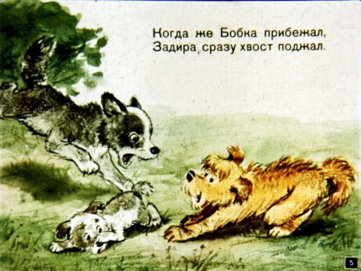 Кадр 5 диафильма «Трусливый задира»
