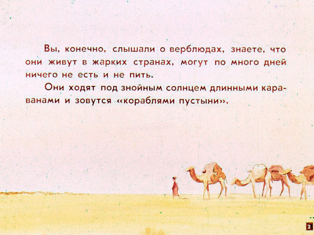 Кадр 2 диафильма «Поющий верблюд»