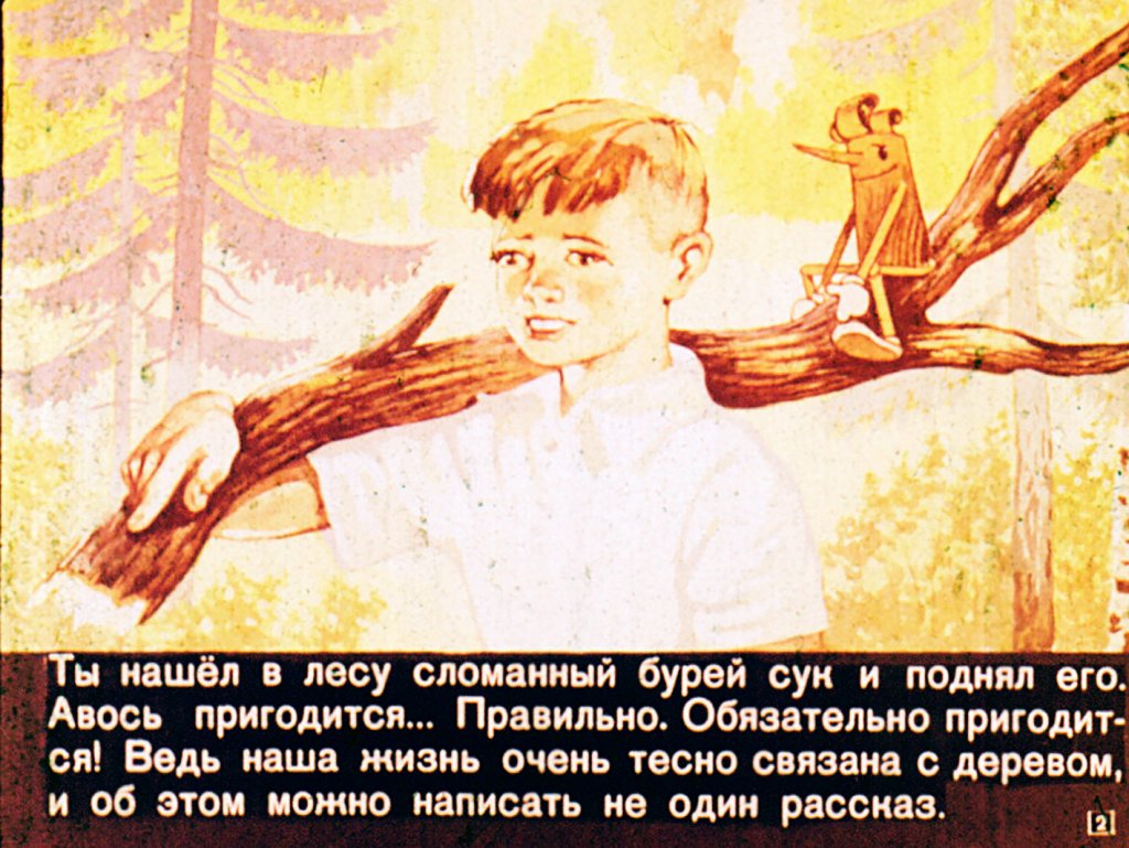 Кадр 2 диафильма «Знакомтесь, кусочек дерева!»