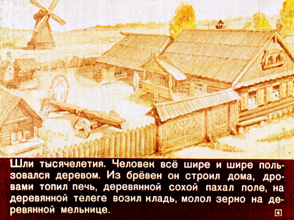 Кадр 4 диафильма «Знакомтесь, кусочек дерева!»