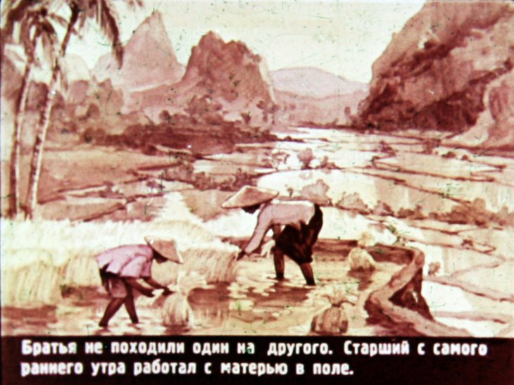 Кадр 5 диафильма «Друг и мертвый олень»