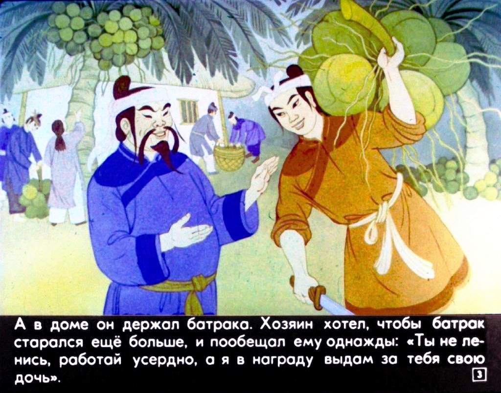 Кадр 3 диафильма «Бамбук о ста коленцах»