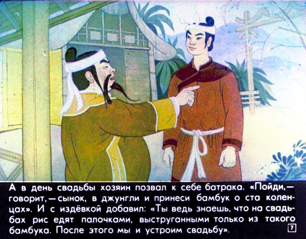 Кадр 7 диафильма «Бамбук о ста коленцах»