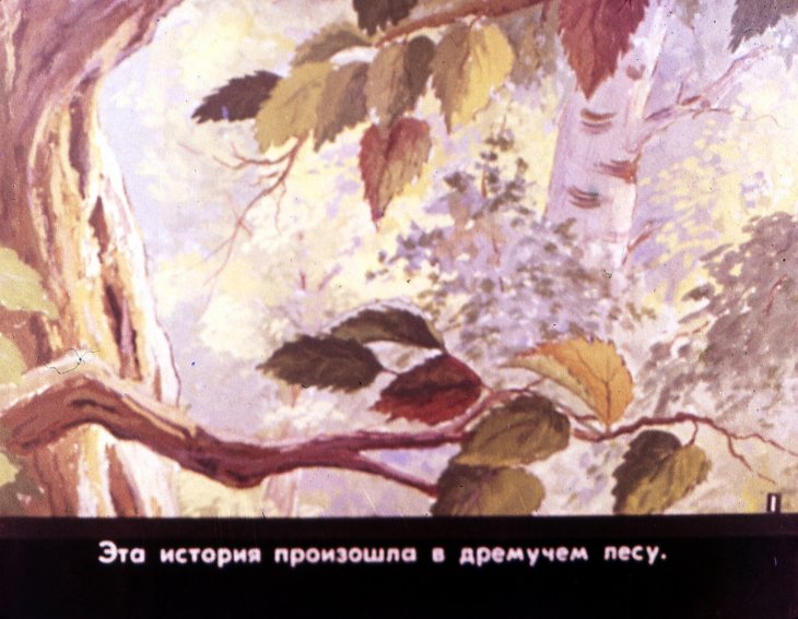 Кадр 3 диафильма «Свадьба соек. Часть 1»