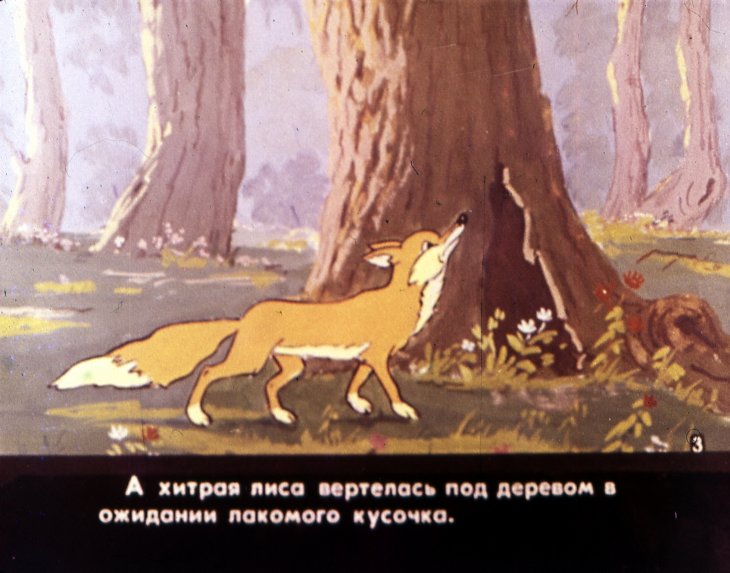Кадр 5 диафильма «Свадьба соек. Часть 1»