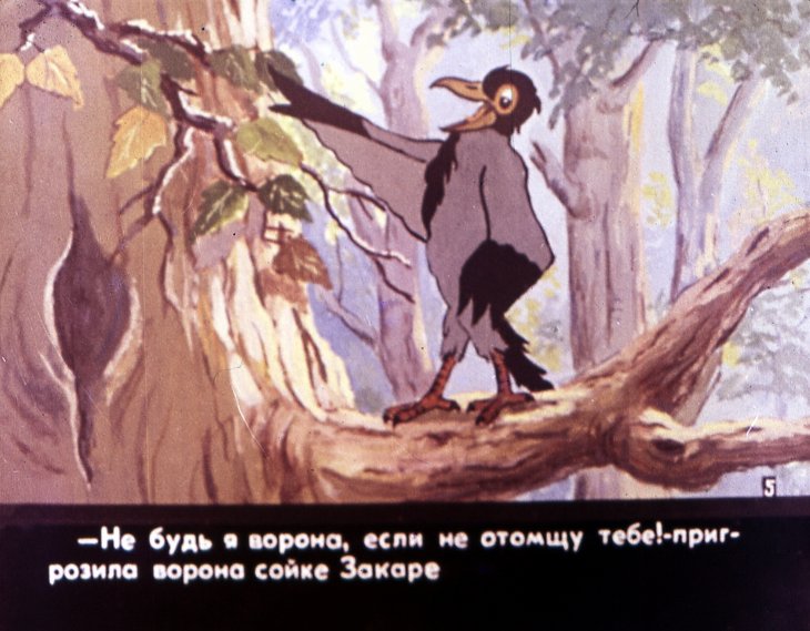 Кадр 7 диафильма «Свадьба соек. Часть 1»