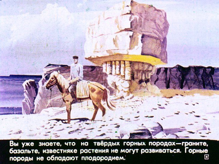 Кадр 4 диафильма «Почва»