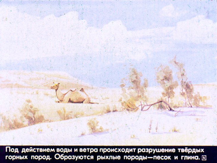 Кадр 5 диафильма «Почва»