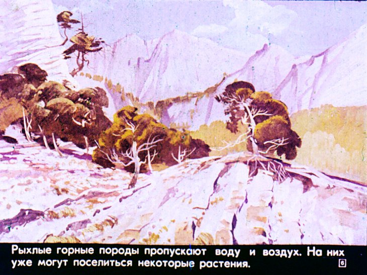 Кадр 6 диафильма «Почва»