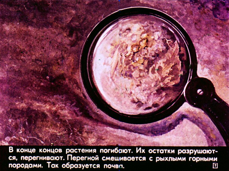 Кадр 7 диафильма «Почва»