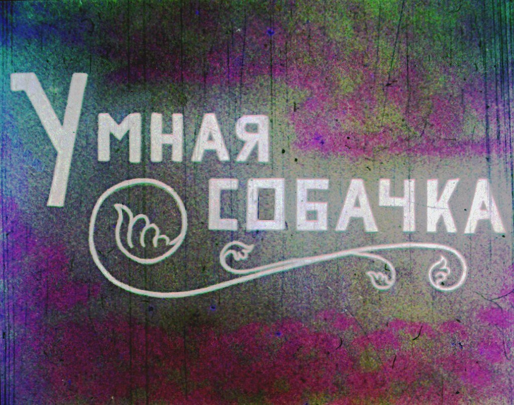 Кадр 1 диафильма «Умная собачка»