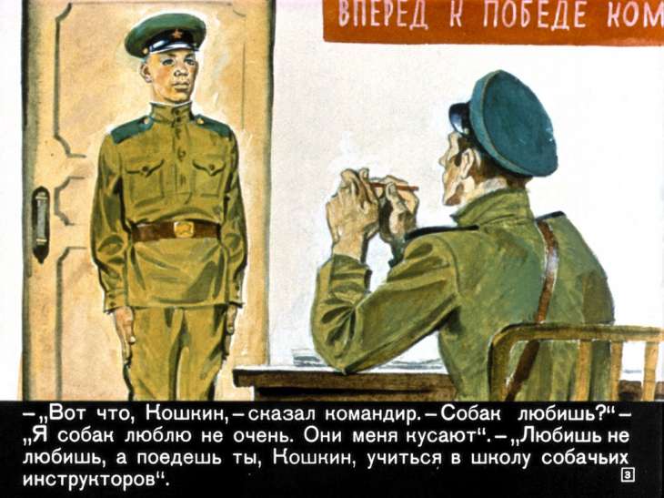 Кадр 3 диафильма «Алый»