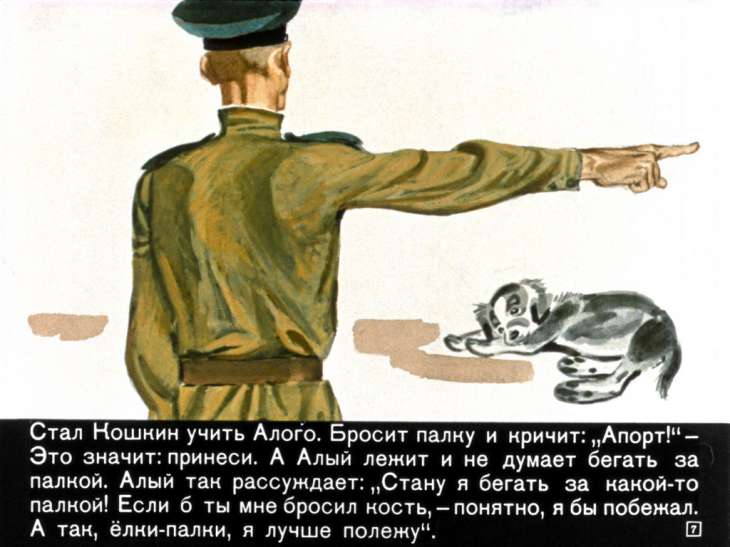 Кадр 7 диафильма «Алый»