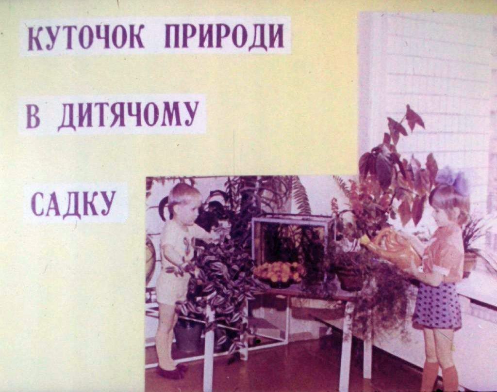 Кадр 1 диафильма «Уголок природы в детском садике»