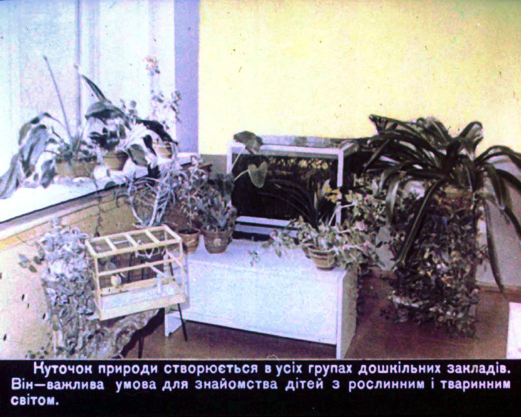 Кадр 2 диафильма «Уголок природы в детском садике»