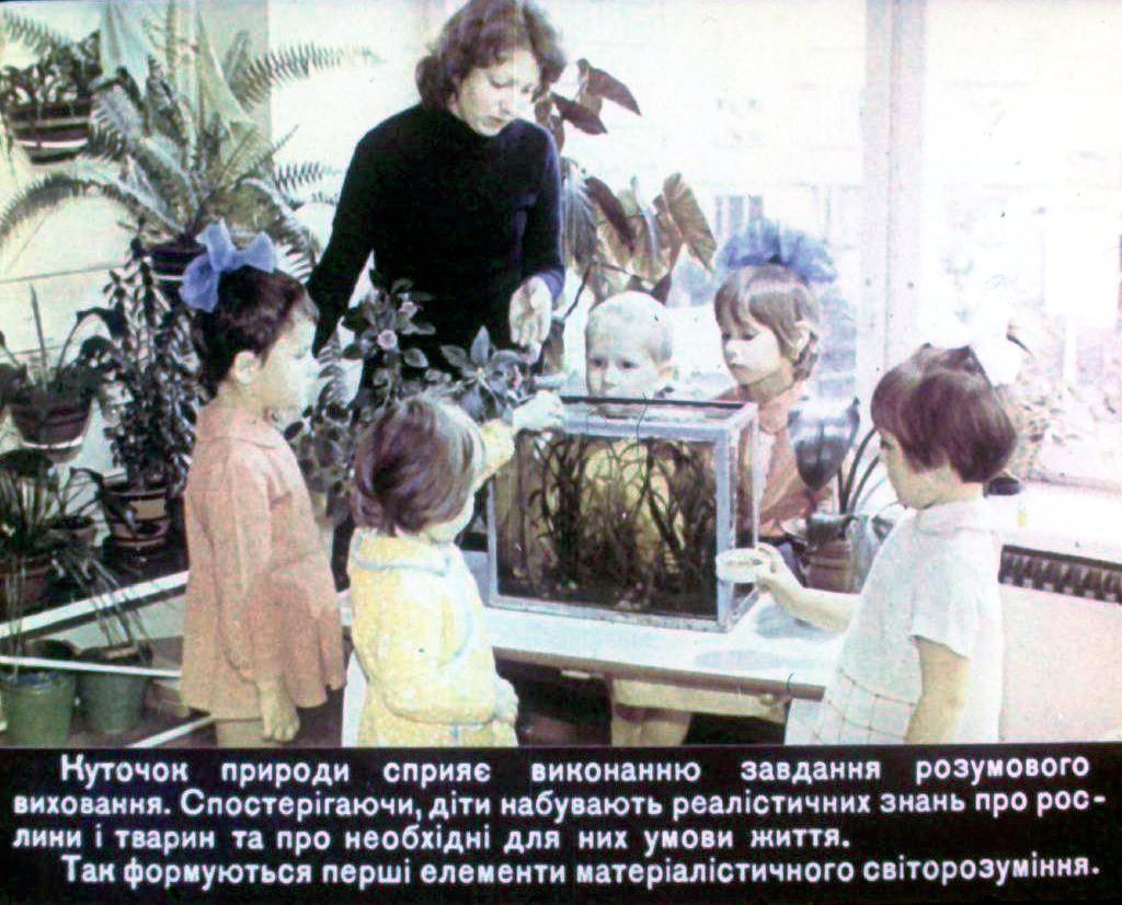 Кадр 3 диафильма «Уголок природы в детском садике»