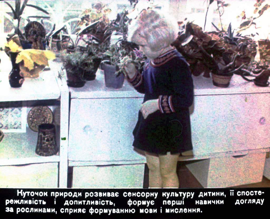 Кадр 4 диафильма «Уголок природы в детском садике»