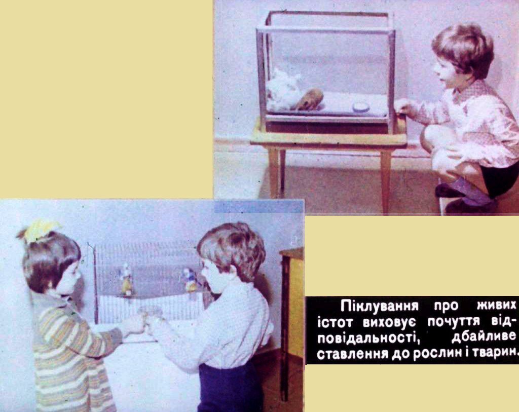 Кадр 5 диафильма «Уголок природы в детском садике»