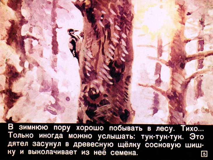 Кадр 5 диафильма «Кто как зимует»