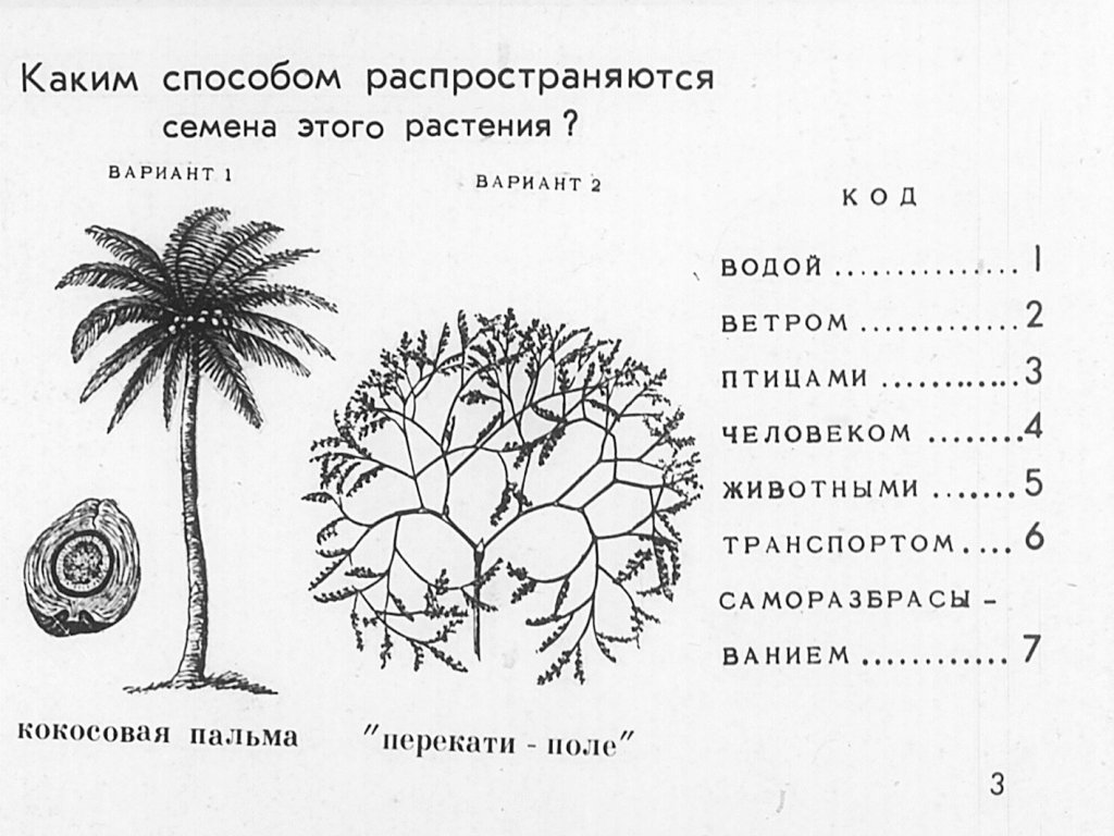 Кадр 4 диафильма «Способы растространения семян»