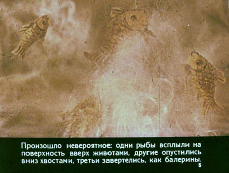 Кадр 5 диафильма «Незнайка на Луне»