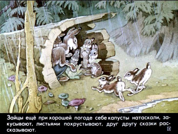 Кадр 3 диафильма «Крапивная горка»