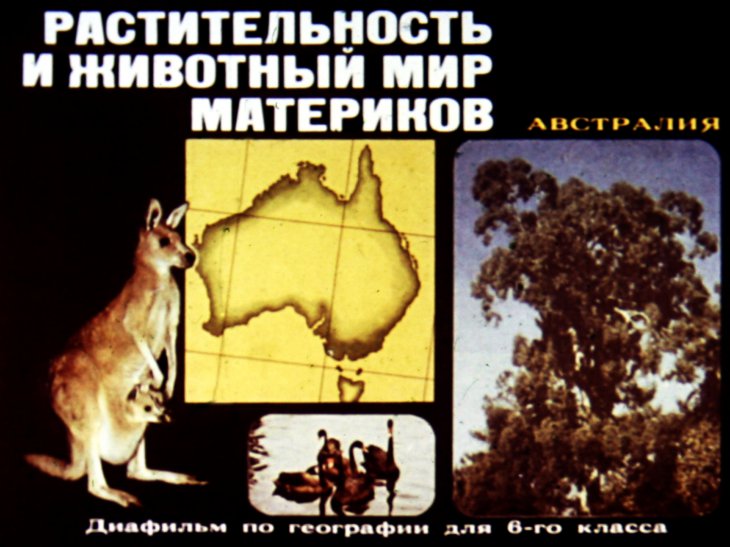 Кадр 1 диафильма «Растительность и животный мир материков. Австралия»