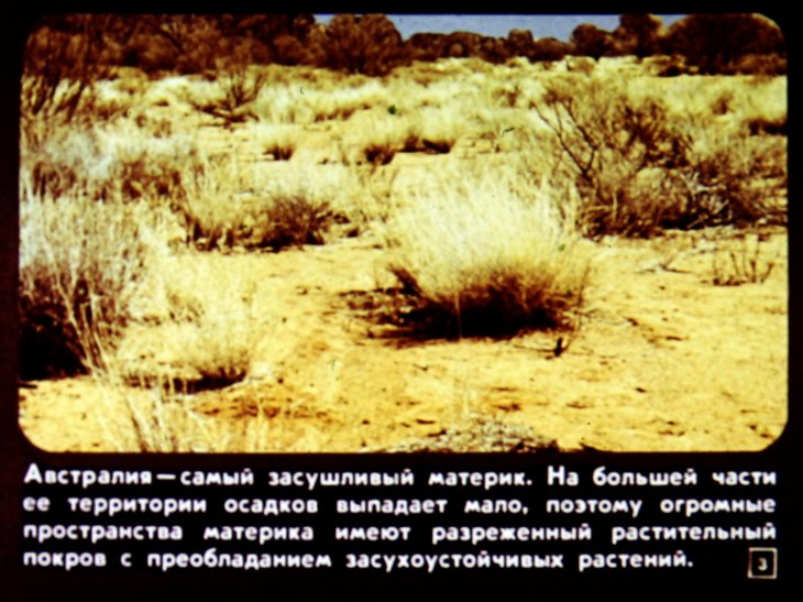 Кадр 3 диафильма «Растительность и животный мир материков. Австралия»