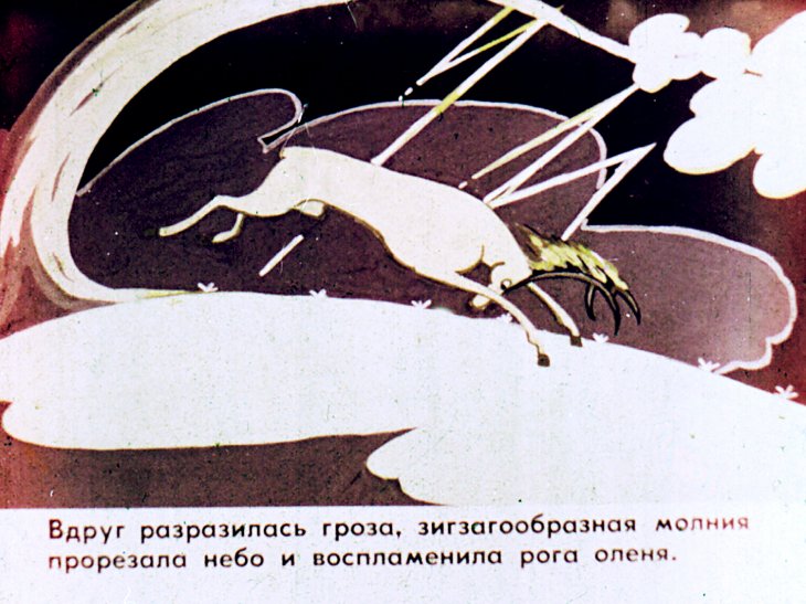 Кадр 5 диафильма «Олень Корбуда»