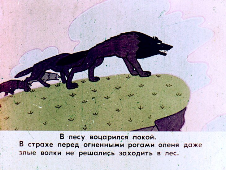 Кадр 7 диафильма «Олень Корбуда»