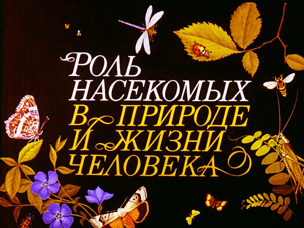 Кадр 1 диафильма «Роль насекомых в природе и жизни человека»