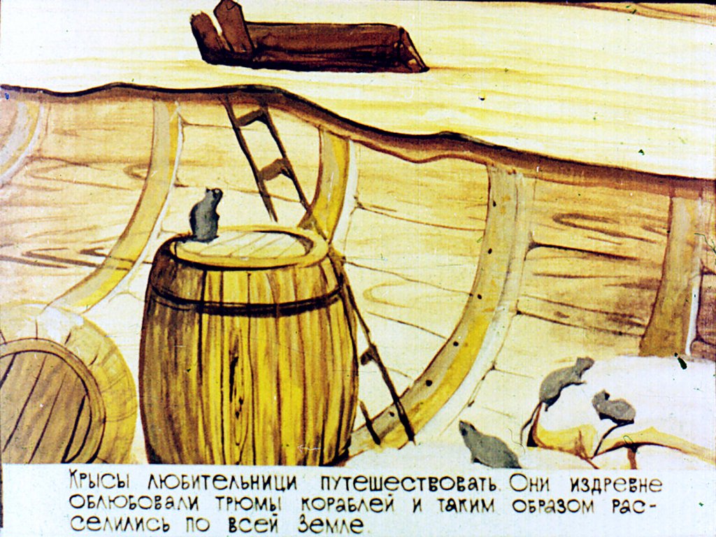 Кадр 6 диафильма «Наши соседи»
