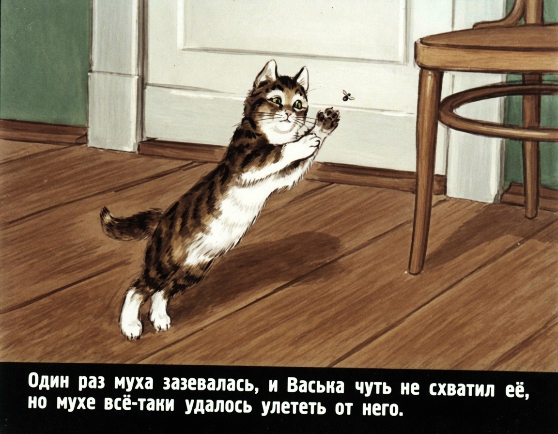 Кадр 5 диафильма «Живая шляпа»
