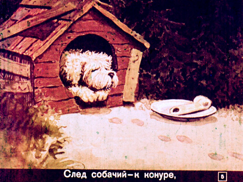 Кадр 5 диафильма «Где спит рыбка»