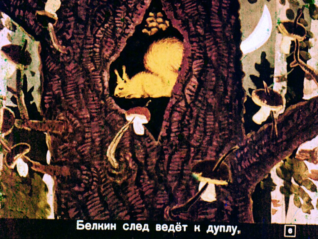 Кадр 6 диафильма «Где спит рыбка»