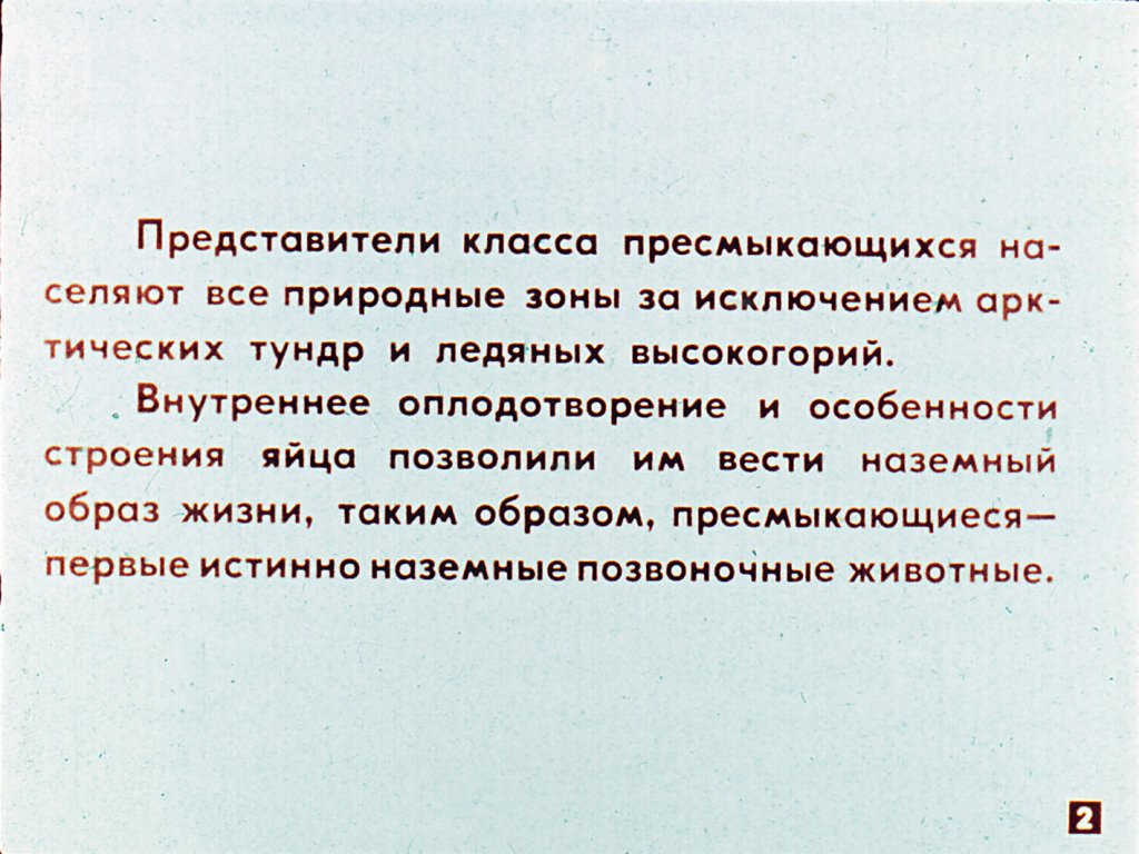 Кадр 2 диафильма «Биологические особенности пресмыкающихся»