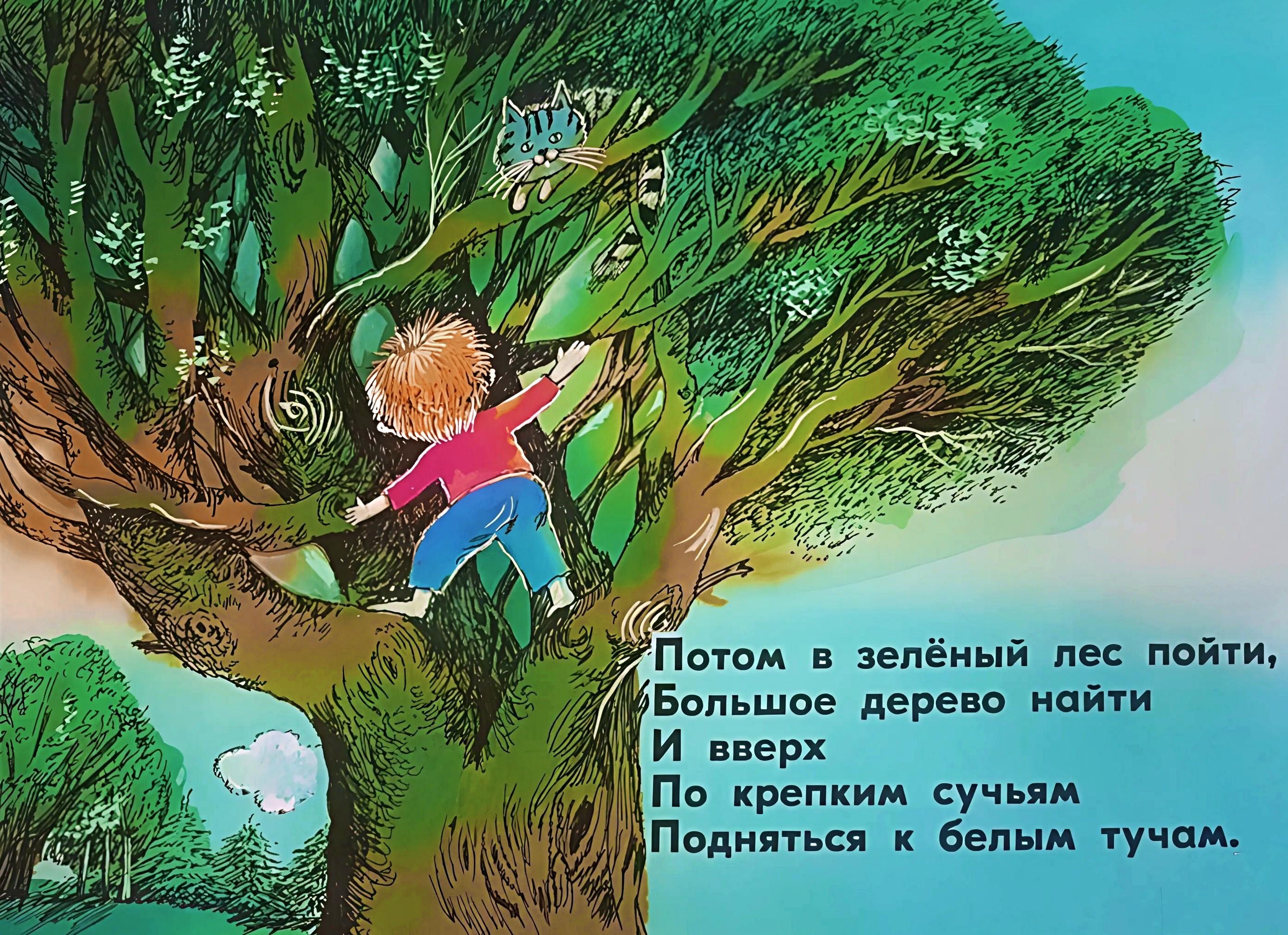 Кадр 4 диафильма «Как до небес добраться»