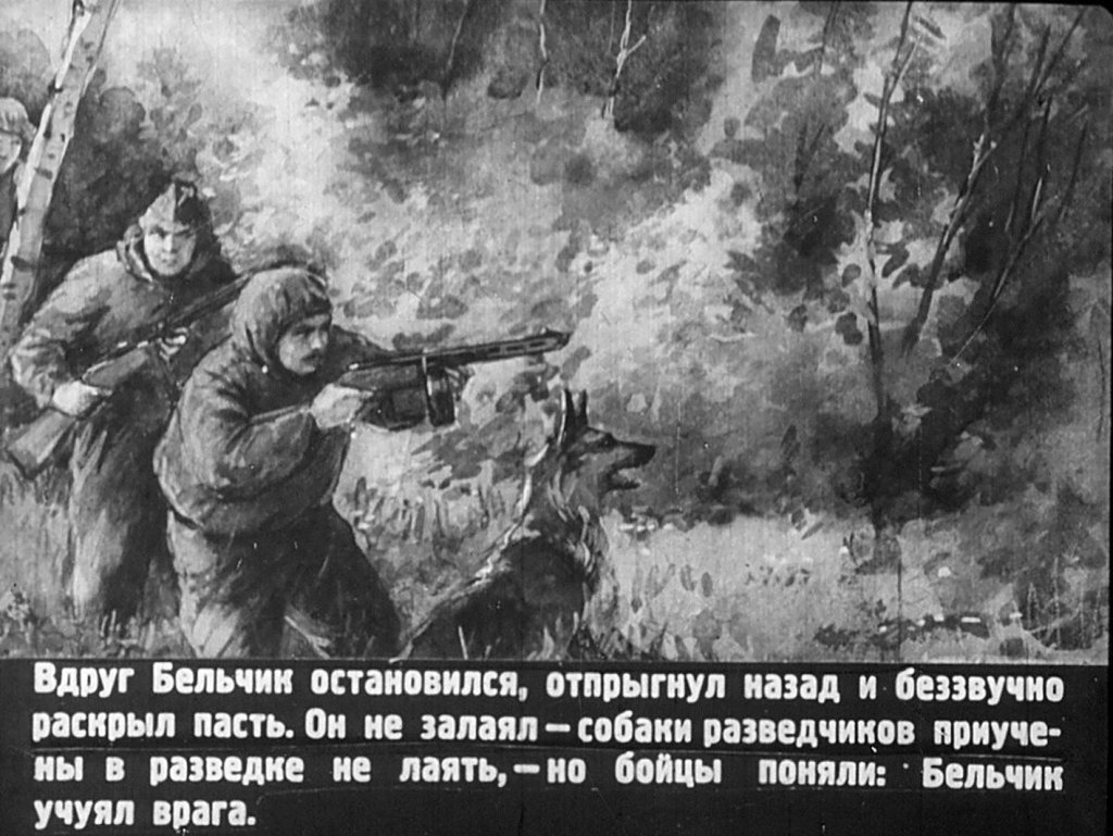 Кадр 6 диафильма «Собака разведчика»