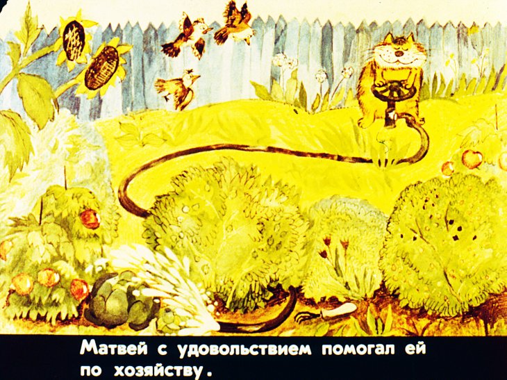 Кадр 5 диафильма «Приключения кота Матвея»