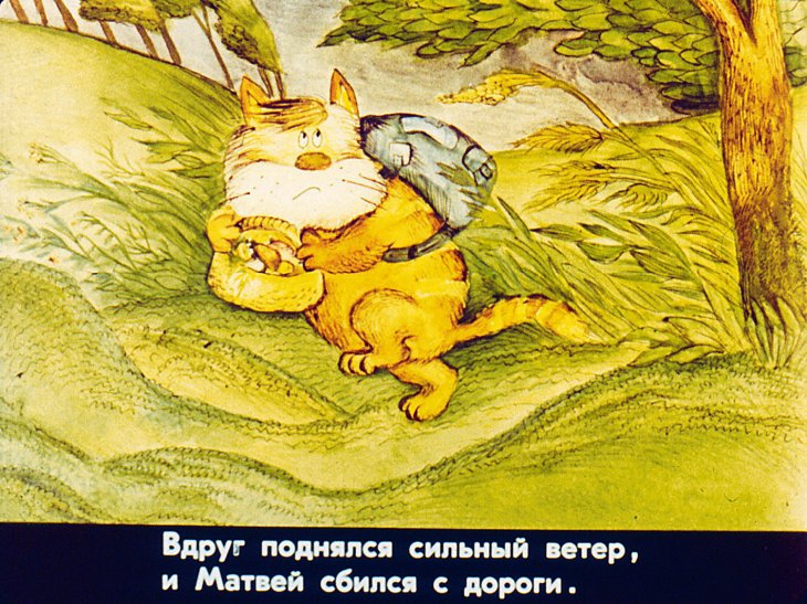 Кадр 7 диафильма «Приключения кота Матвея»