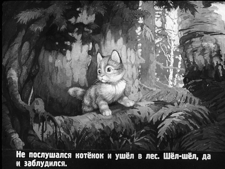 Кадр 3 диафильма «Упрямый котенок»