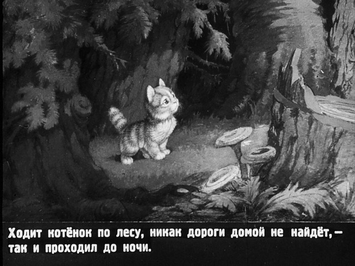 Кадр 4 диафильма «Упрямый котенок»
