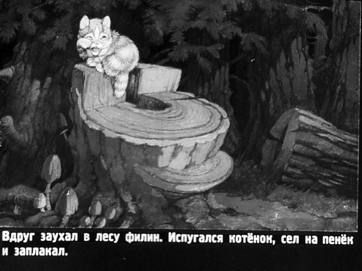 Кадр 5 диафильма «Упрямый котенок»