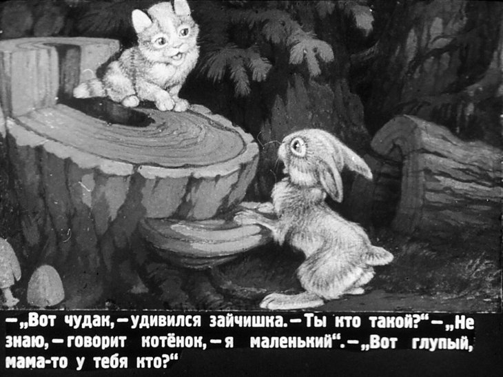 Кадр 7 диафильма «Упрямый котенок»