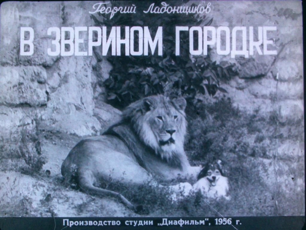 Кадр 1 диафильма «В зверином городке»