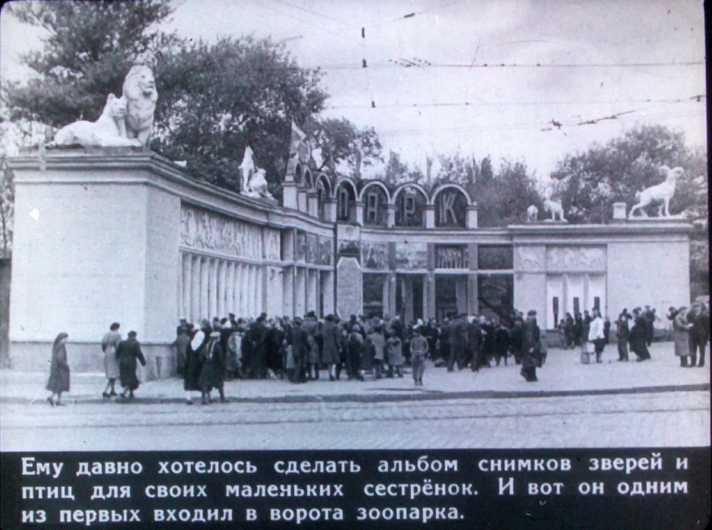 Кадр 4 диафильма «В зверином городке»