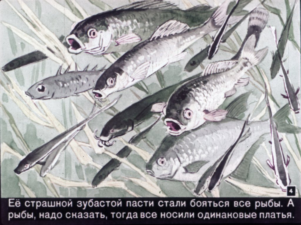 Кадр 3 диафильма «Почему рыбы стали нарядными»