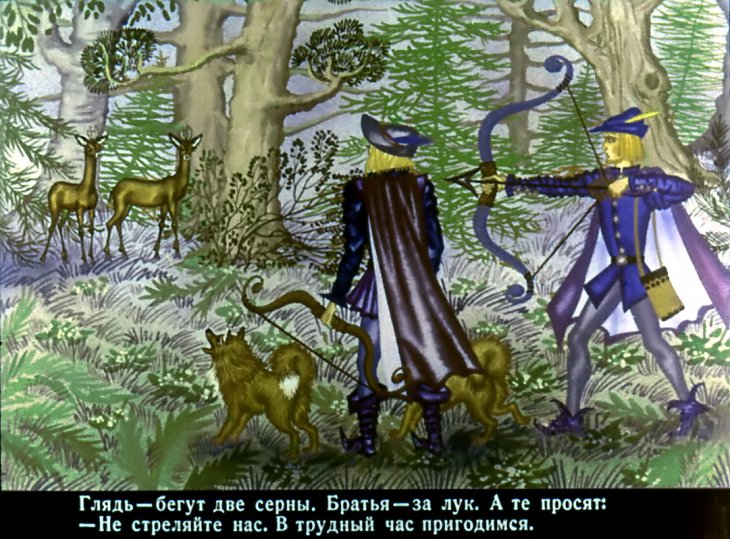Кадр 6 диафильма «Белый олень»