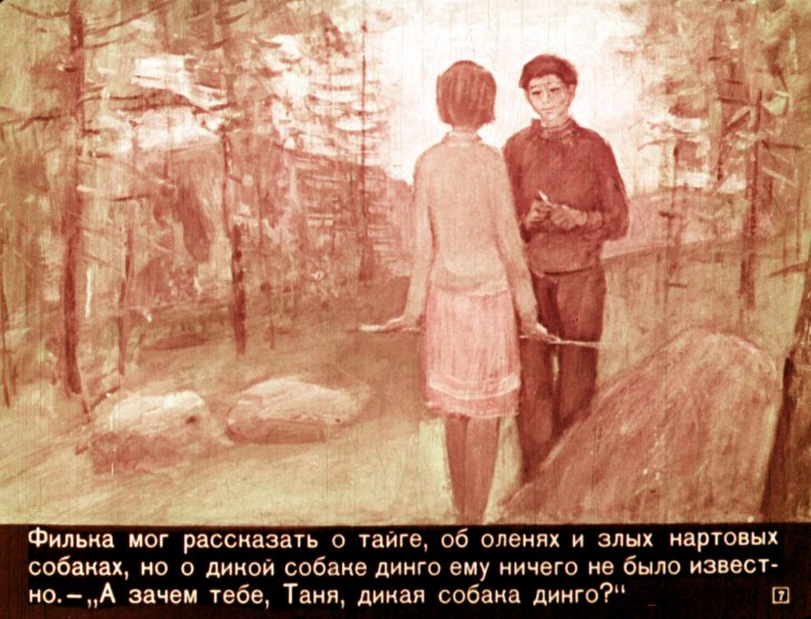 Кадр 7 диафильма «Дикая собака динго. Часть 1»